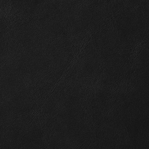 Black Leather